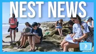 Nest News 9 6   SG Treasurer Power Change, New Degree, Locker Room Renovations, Sports, and More!