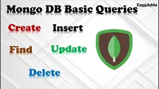 Mongo DB CRUD (Create | Insert | Find | Update | Delete) Basic Queries | Mongo DB | Studio 3T