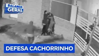 Mulher se fere ao defender seu cãozinho do ataque de outro maior