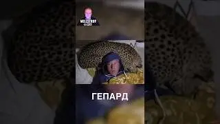 Сон в походе 😳 