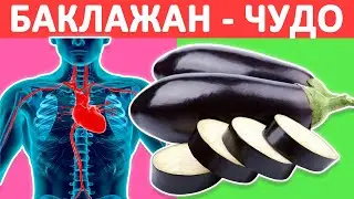 УДИВИТЕЛЬНОЕ влияние БАКЛАЖАНА на ОРГАНИЗМ! Вред и польза СИНЕНЬКИХ