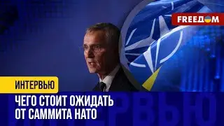 Визит ПУТИНА в КНДР. Саммит НАТО отреагирует ПОМОЩЬЮ УКРАИНЕ