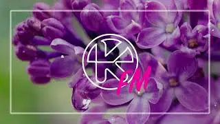 Passenger 10 – Silver Lining