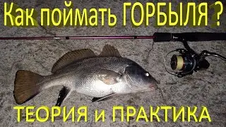 🔥 Как поймать ГОРБЫЛЯ на спиннинг (часть 1)? Теория и практика. Рыбалка на Черном море в Крыму 🔥