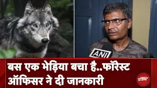 Bahraich Wolf Attack: भेड़ियों का आतंक खत्म करने के लिए कोशिशें, DFO ने दी जानकारी