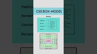 CSS BOX-MODEL.                 #cssboxmodel #cssborder #csstutorial #css