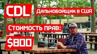 CDL за $800 и 14 дней. Как стать Дальнобойщиком в США