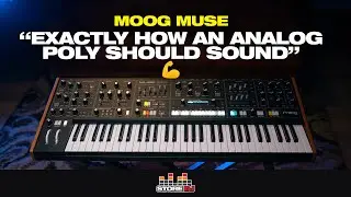 Exploring the Moog MUSE 😍 (No Preset Surfing)