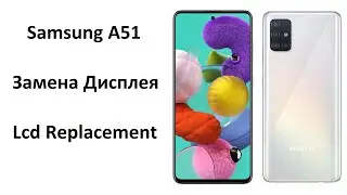 Разборка и Замена Дисплея Samsung A51 SM-A515F | Disassembly,  Replacement Lcd Samsung A51 SM-A515F