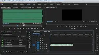Enhance Audio#Adobe Premiere Pro Complete Video Editing Masterclass Udemy