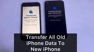 How To Transfer Old iPhone Data In To New iPhone Without Losing Anything