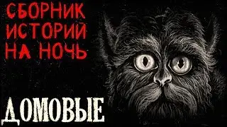 Истории на ночь (3в1): Сборник историй - Домовые