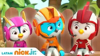 Top Wing | Un día en Top Wing | Nick Jr. en Español