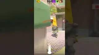 заявка в kickflip #748294 #cs2