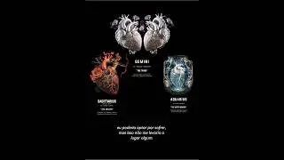 Séries de Signos - TsBhi thay