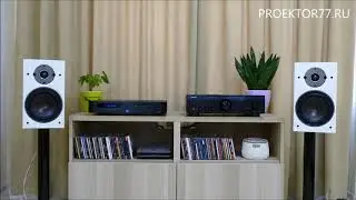 Прослушивание стереокомплекта: Dali Oberon 3 & Denon PMA-800NE & Emotiva CD-100