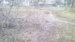последствия первого снега
