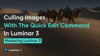 Culling Images With The Quick Edit Command In LUMINAR 3