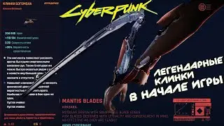 Лучшие КЛИНКИ БОГОМОЛА в Cyberpunk 2077 где найти ?