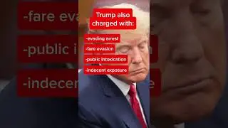 NYPD Arrests Trump After Routine Stop-And-Frisk Turns Up Unlicensed Handgun, 400 Mg Of Ketamine