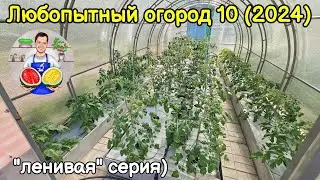 Любопытный огород 10 (2024). Ленивая серия.