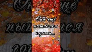 И снова осень...