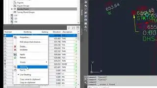 Zoom to a Point in an AutoCAD Civil 3D Survey Database