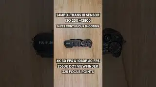 This Or That (SonyA6600 vs Fujifilm X-E3) 