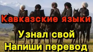 Кавказские языки. Узнал свой язык? Отправь другу!Напиши перевод. #кавказ #дагестан #чечня #рек