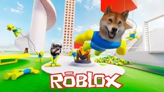 Симулятор захвата в Роблокс. Grapple Simulator Roblox, играют собака Локи и енот Алекс.