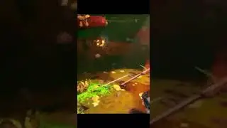 DRG-Kamikaze 🤦🏻‍♂️Deep Rock Galactic Слабоумие и отвага