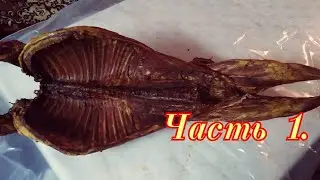 🛑Как коптить целого барана? Ч1 подготовка туши к копчению.
