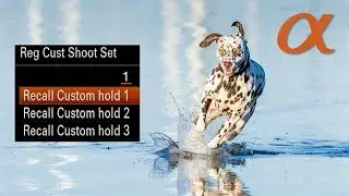 Sony Alpha Custom Settings for A9, A7lll and A7RM3: Register and Recall Custom Shoot Settings