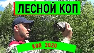 Лесной коп.Коп 2020. металлокоп 2020