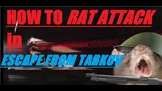How to PROPERLY RAT ATTACK in Tarkov