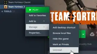 Conscientious Objector №365 | TF2