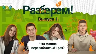 Разберем! Что можно переработать 81 раз