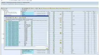 SAP Custom Development Management Cockpit - Upgrade Change Impact Analysis