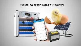 Unboxing Mini Solar Incubator 136 Capacity With Wi-Fi Control