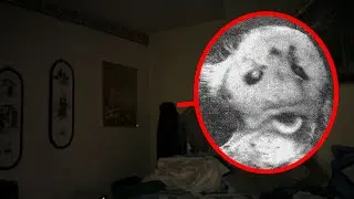 ДОМОВОЙ - МИФ ИЛИ РЕАЛЬНОСТЬ?