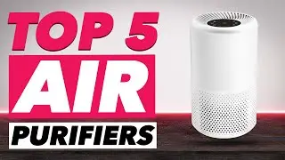 Top 5: Best Air Purifiers 2021 (for Dust, Allergies, Pets)