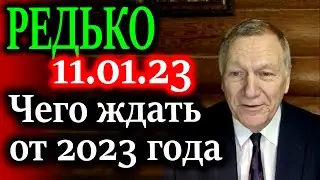 РЕДЬКО. Что нам всем ждать от 2023 года