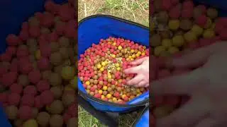Ты не поверишь 