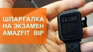 Лучшая шпаргалка из часов Amazfit Bip