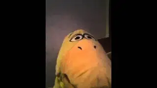 Quack