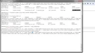 Docker : Tomcat Clustering with Load Balancer (Tomcat and Nginx)