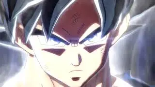 when goku turn into Mastered ultra instinct