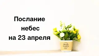 Послание небес на 23 апреля. Ваша уникальность.