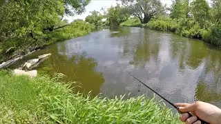 Это НУЖНО ВИДЕТЬ! МЕЛКОВОДЬЕ Реки ЗАПОЛНЕНО РЫБОЙ! (Рыбалка на Голавля)