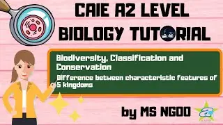 [BIO] Differences in Characteristics of the 3 Domains  l Biodiversity, Classification & Conservation